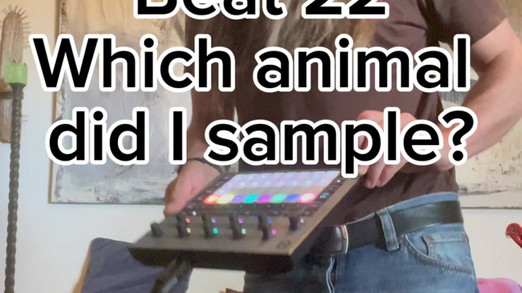 Beat 22